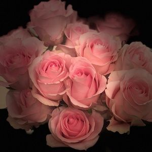 Meet your Posher, Alexandra